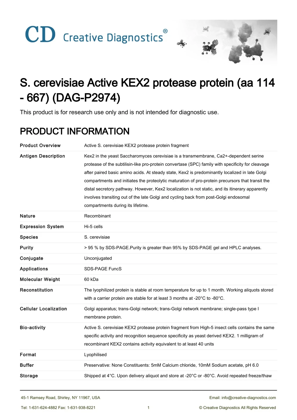 s cerevisiae active kex2 protease protein