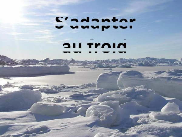 S adapter au froid