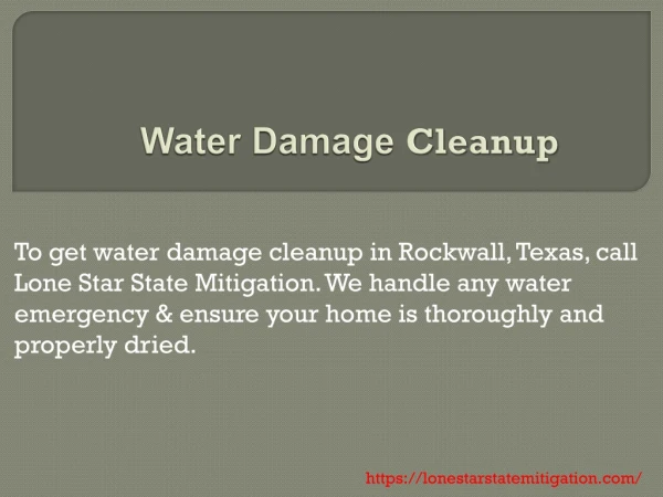 Water Damage Cleanup Rowlett, Texas