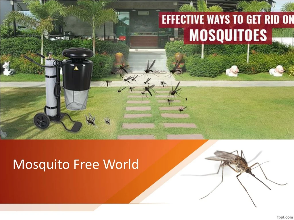 mosquito free world