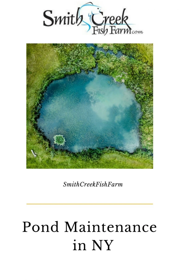 Pond Maintenance in NY | SmithCreekFishFarm