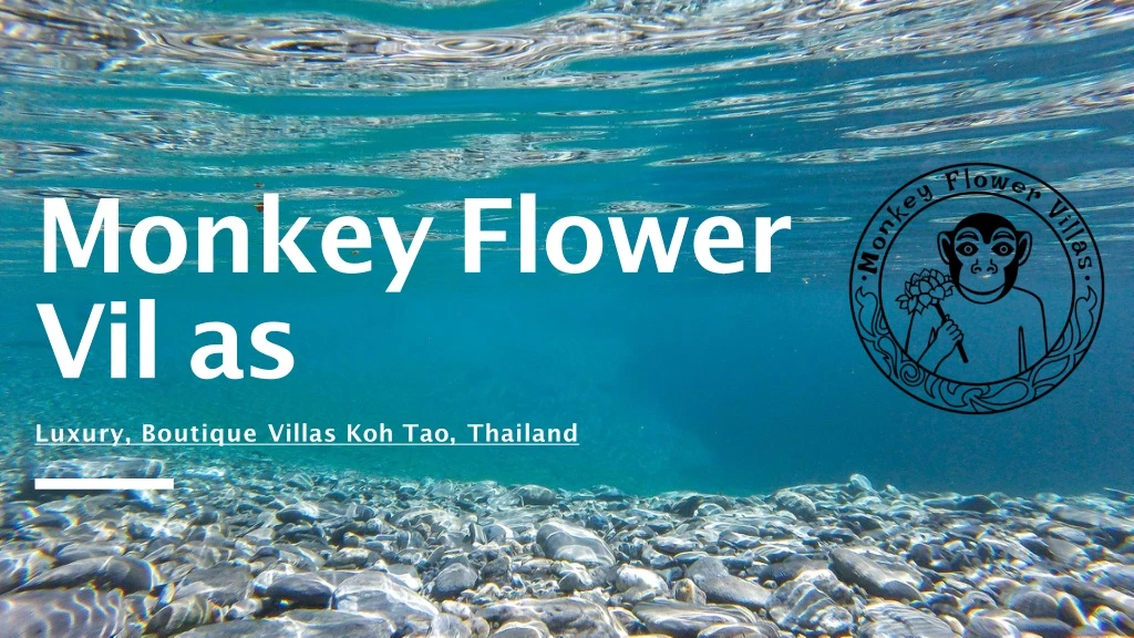 monkey flower vil as luxury boutique villas koh tao thailand