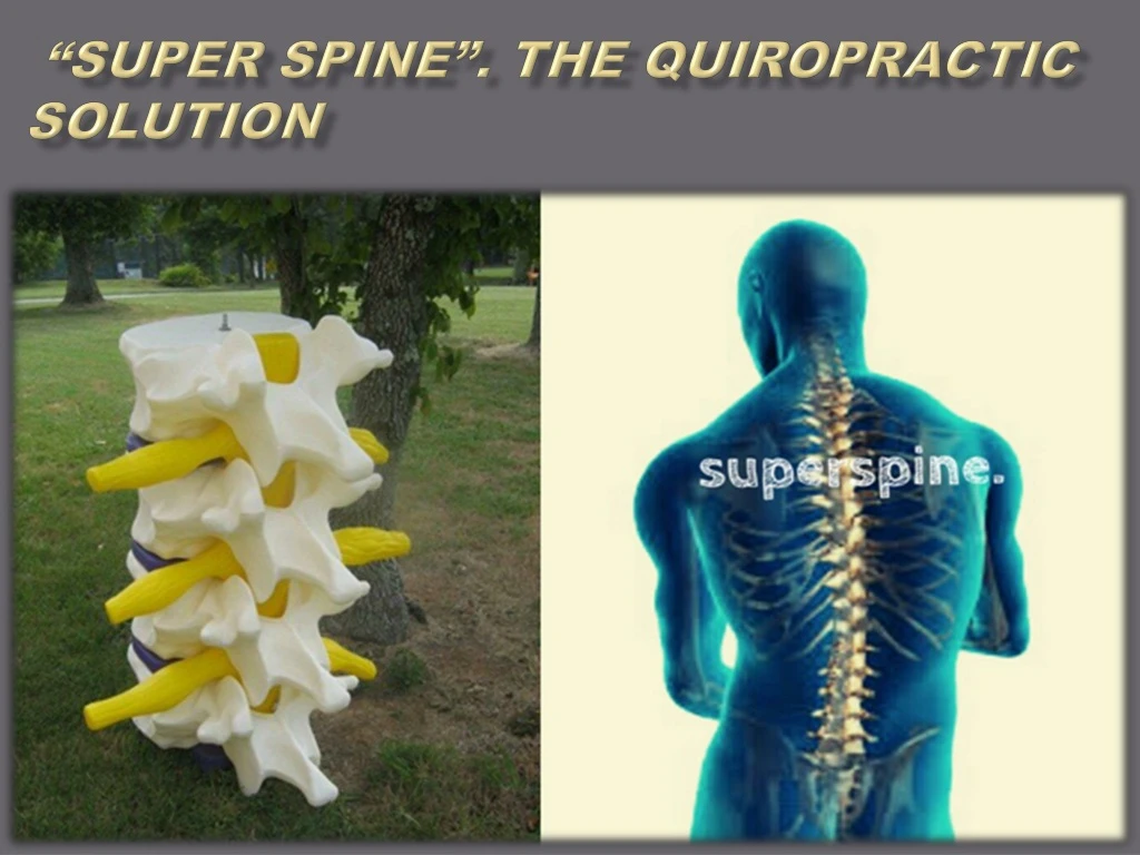 super spine the quiropractic solution