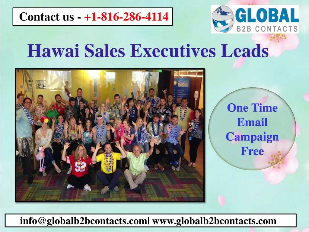 hawai sales executives leads