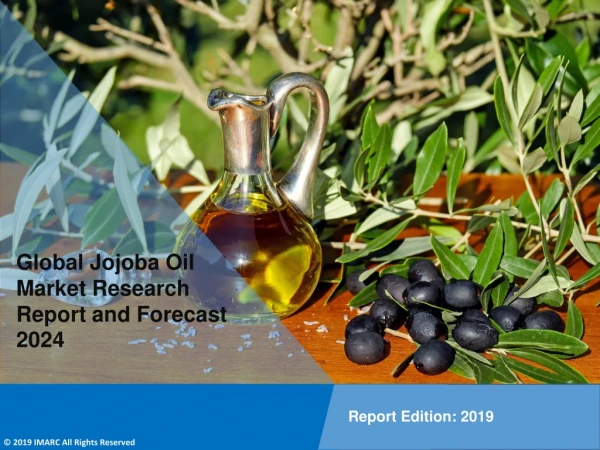 Jojoba Oil Market Overview 2019: Industry Trends, Share, Size, Growth, Report Analysis and Forecast Till 2024