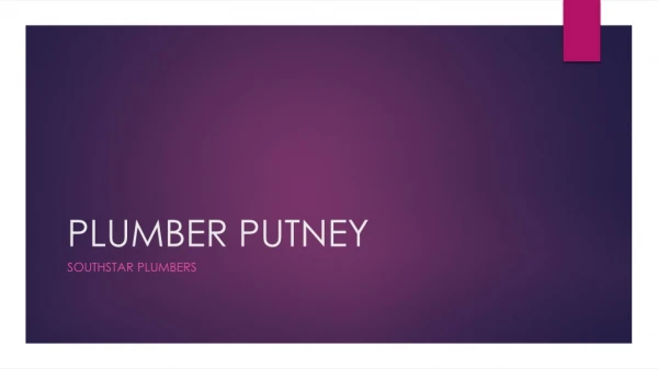 Plumber Putney