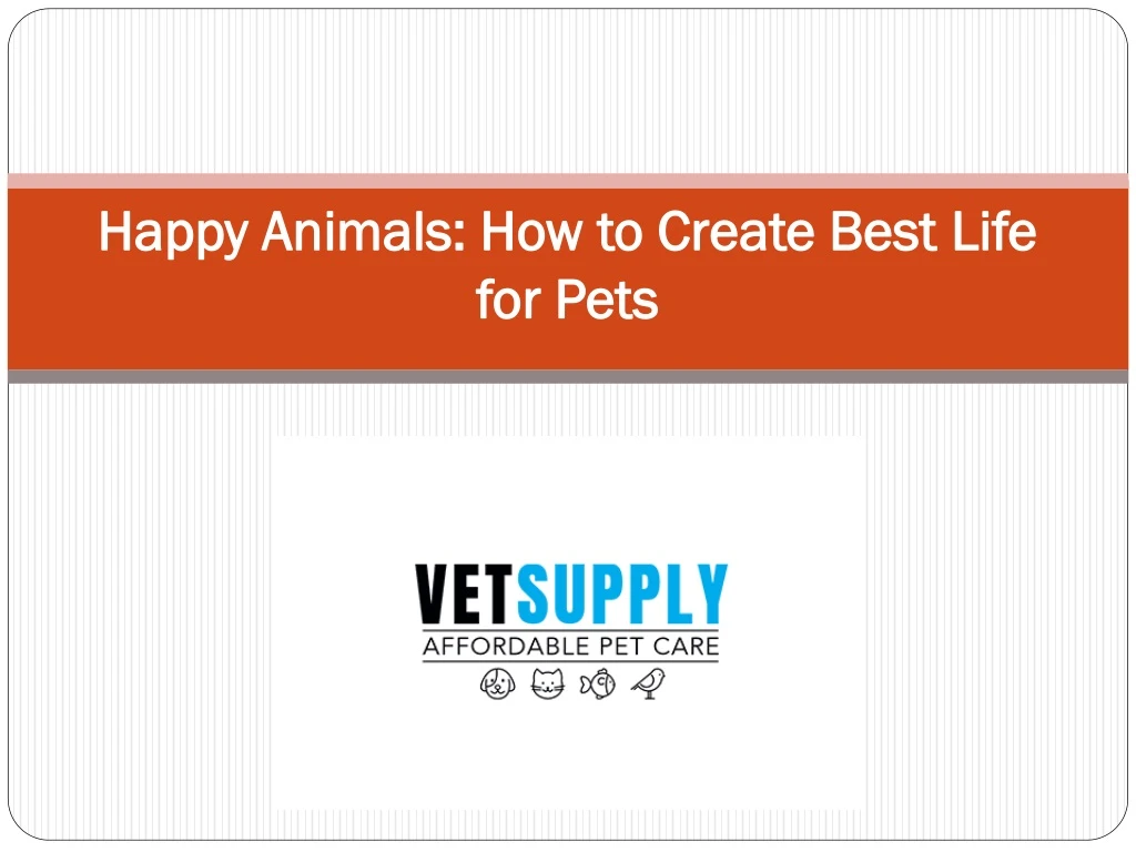 happy animals how to create best life for pets