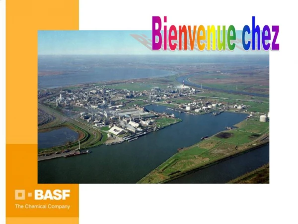 BASF Anvers