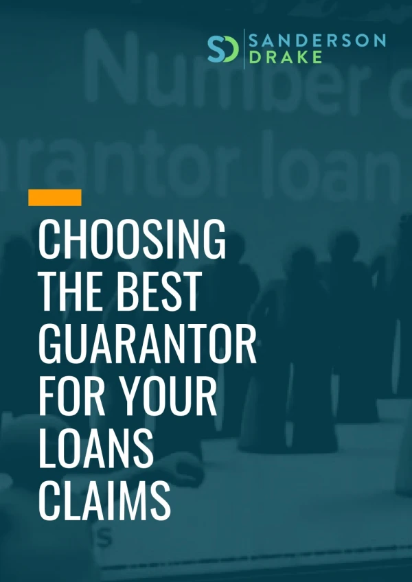 Choosing The Best Guarantor For Your Loans Claims