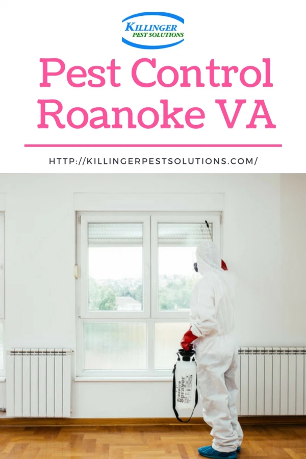 Pest Control Roanoke VA