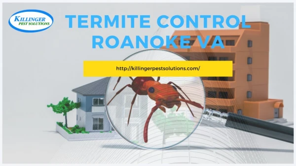 Pest Control Roanoke VA