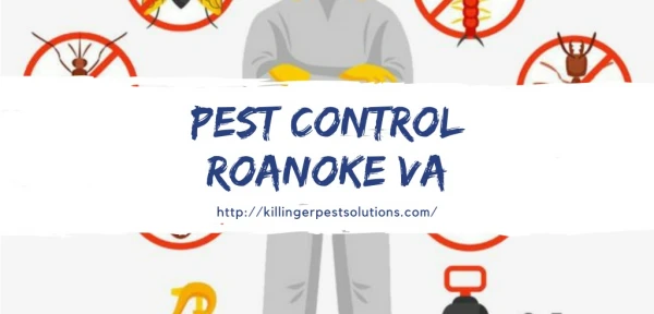 Pest Control Roanoke VA