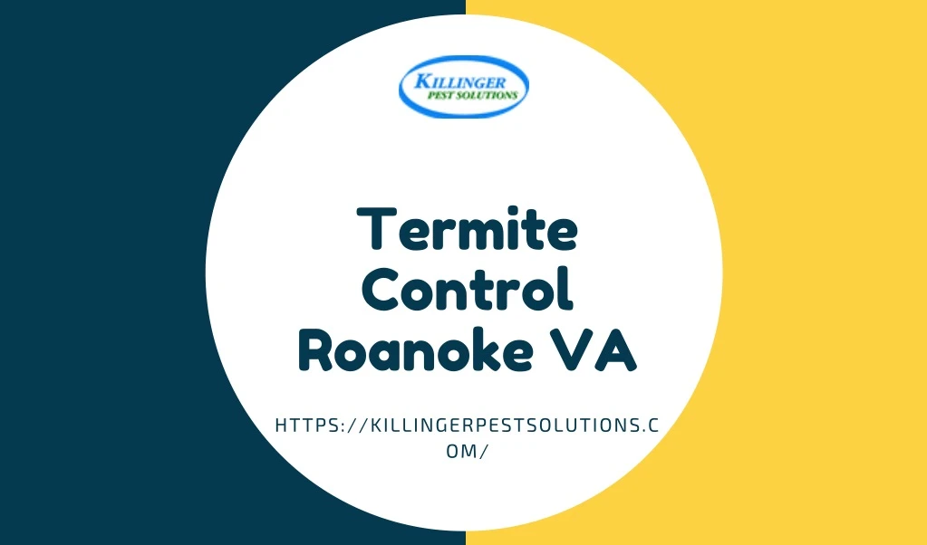 termite control roanoke va