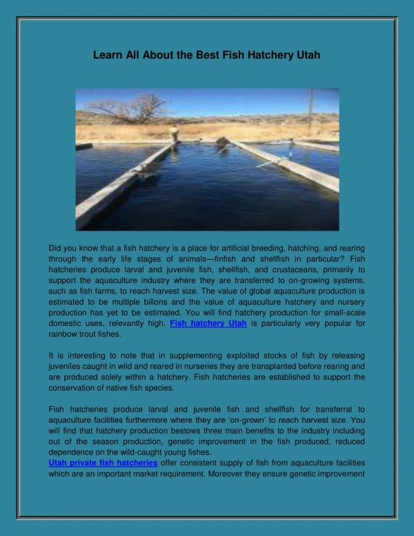 Learn All About the Best Fish Hatchery Utah