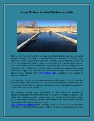 Learn All About the Best Fish Hatchery Utah - slide 1