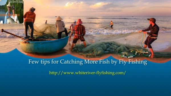 Few tips for Catching More Fish by Fly Fishing