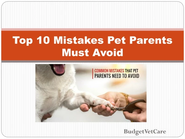 Top 10 Mistakes Pet Parents Must Avoid | BudgetVetCare