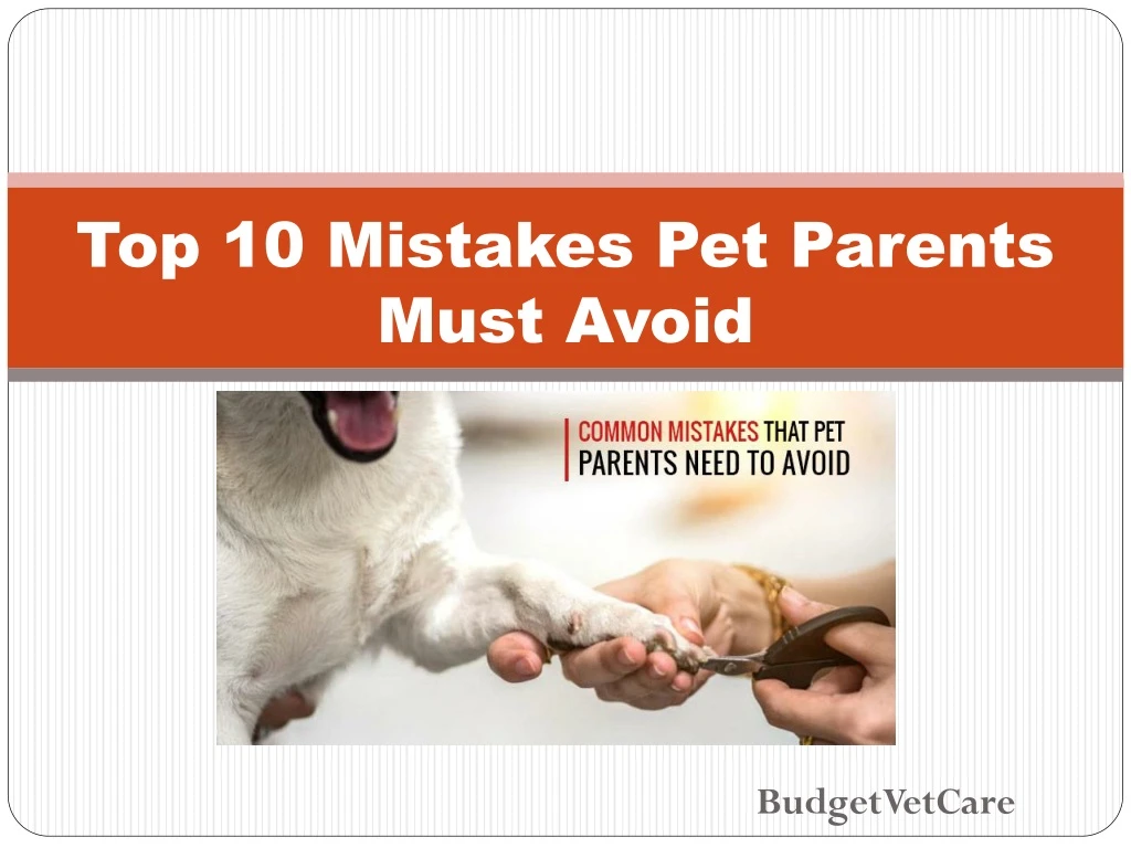 top 10 mistakes pet parents must avoid