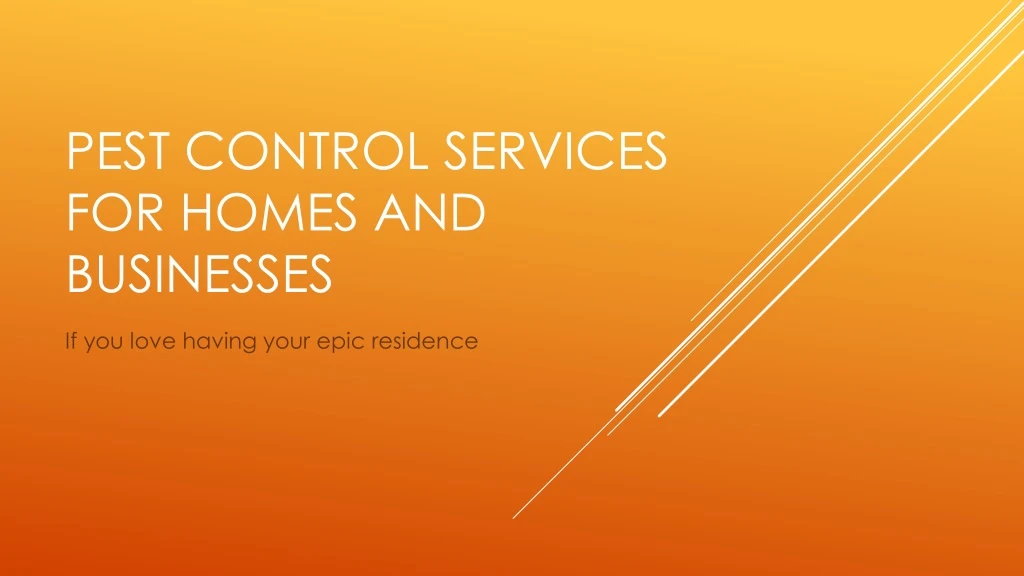 pest control services for homes and businesses