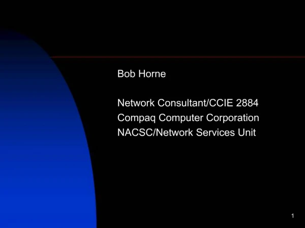 Bob Horne Network Consultant