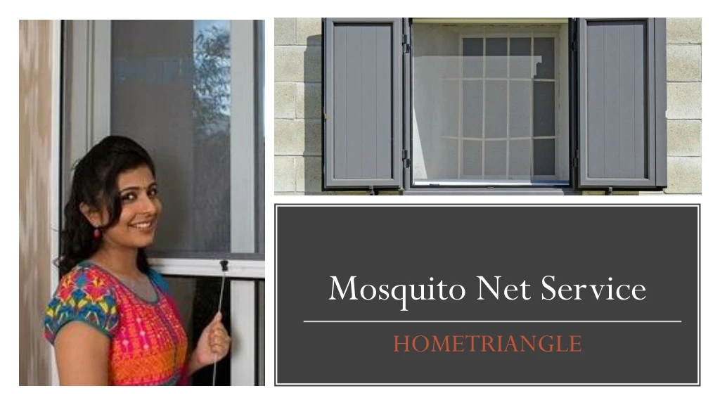 mosquito net service