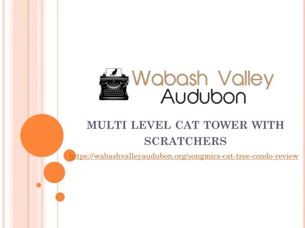 Multi Level Cat Tower With Scratchers | Multi Level Cat Condo