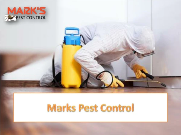 Professional Pest Control Service Provider in Melbourne