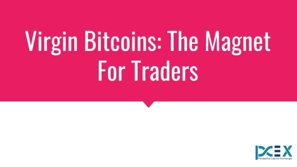 Virgin Bitcoins: The Magnet For Traders