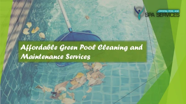 Affordable Green Pool Cleaning and Maintenance Services in Australia