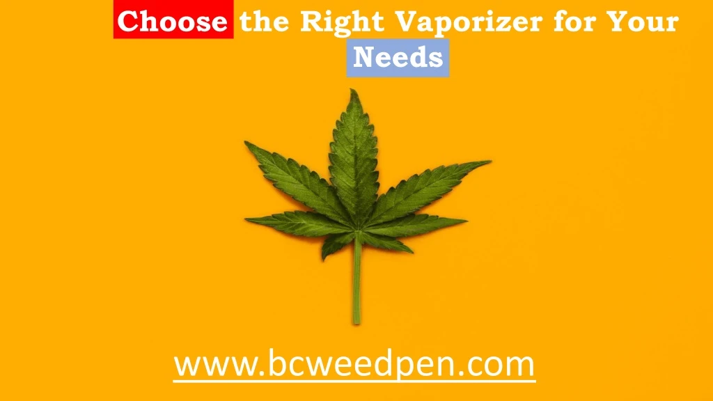 choose the right vaporizer for your needs