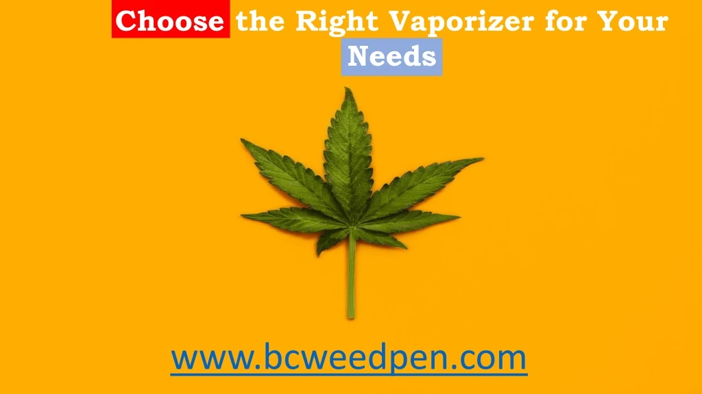 choose the right vaporizer for your needs