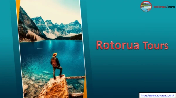Rotorua to Auckland Private Tour