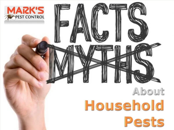 Myths and Facts About Household Pests