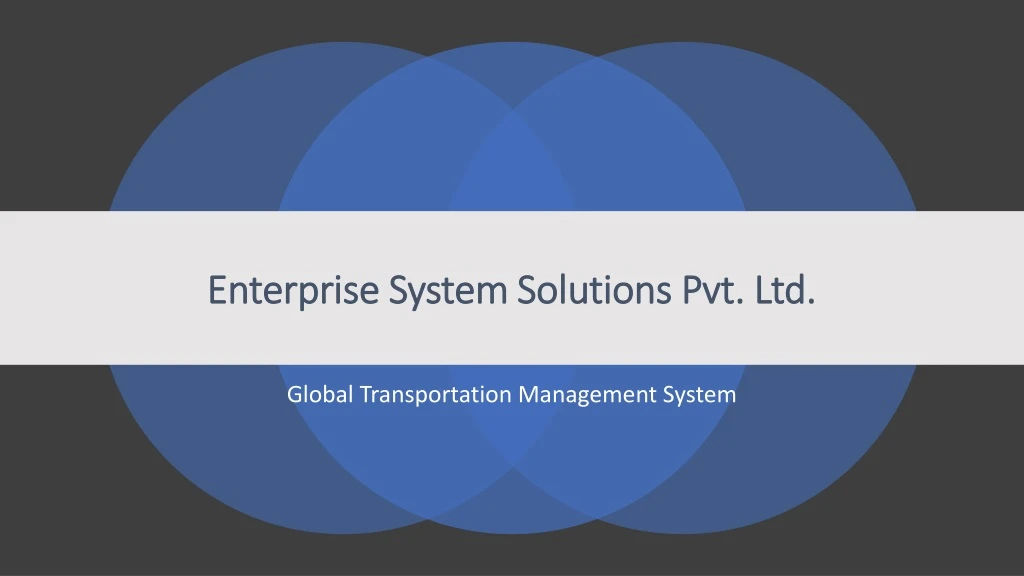 enterprise system solutions pvt ltd