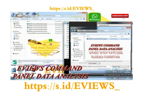 EVIEWS Command Panel Data Analysis