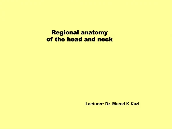 Regional Anatomy of Head & Neck