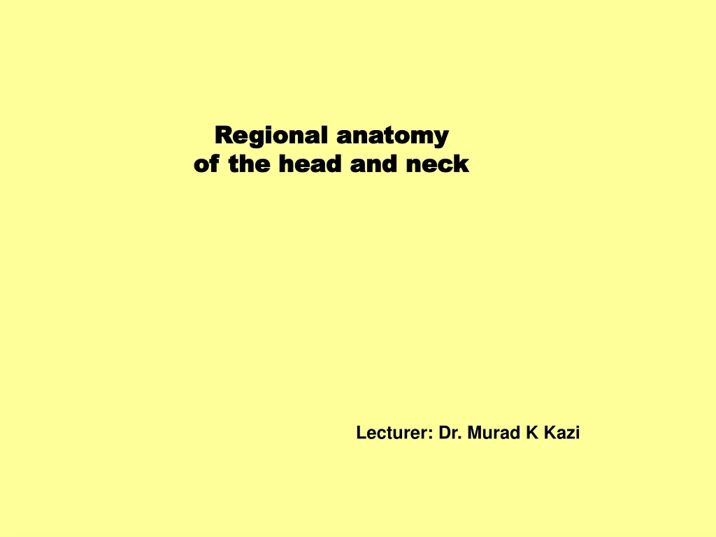 regional anatomy of the head and neck