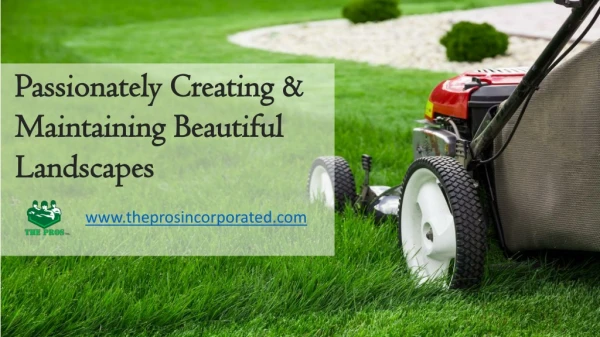 Best landscaping company with the most affordable and competitive rates
