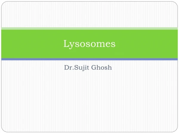 lysosomes and peroxisomes