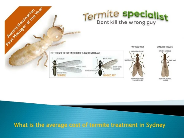 What is the average cost of termite treatment in Sydney