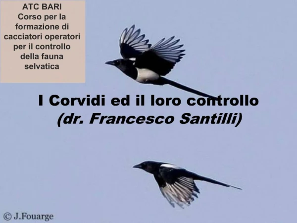 I Corvidi ed il loro controllo dr. Francesco Santilli