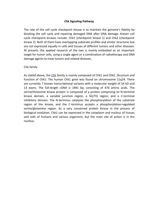 Chk Signaling Pathway