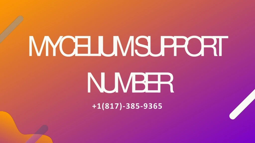 mycelium support number