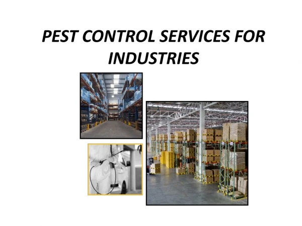 Pest control services for Industries