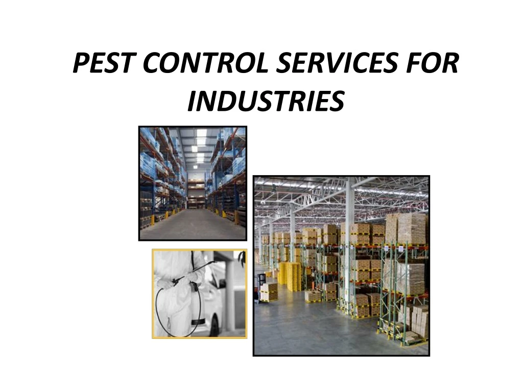 pest control services for industries