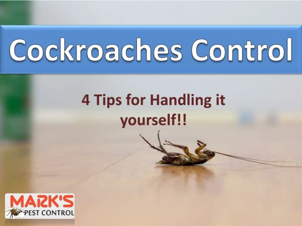 Cockroaches Control Tips