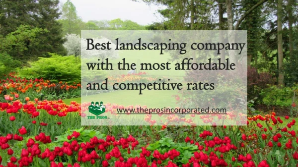 Best landscaping company in North Shore