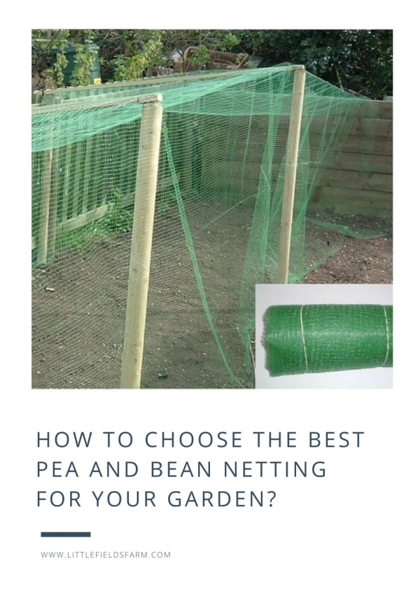 How To Choose The Best Pea And Bean Netting For Your Garden?