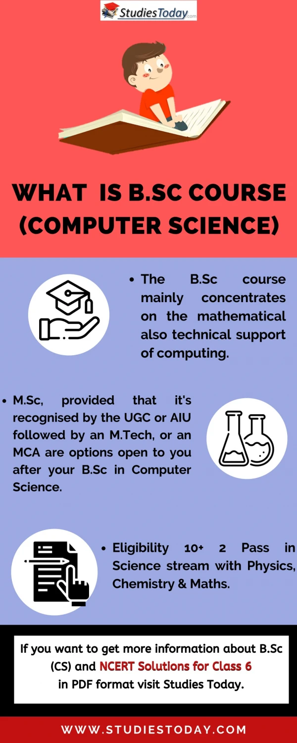What is B.Sc course (Computer Science)