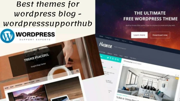 Best themes for wordpress blog - wordpresssupport247